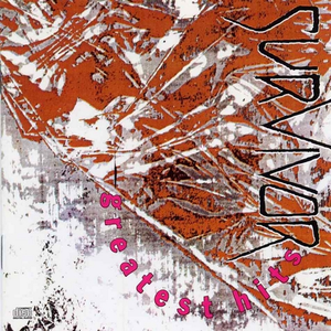 动漫裸体🔞🔞🔞网站春水
